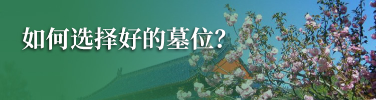 卧龙公墓